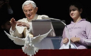 B16_Seagull_1.jpg