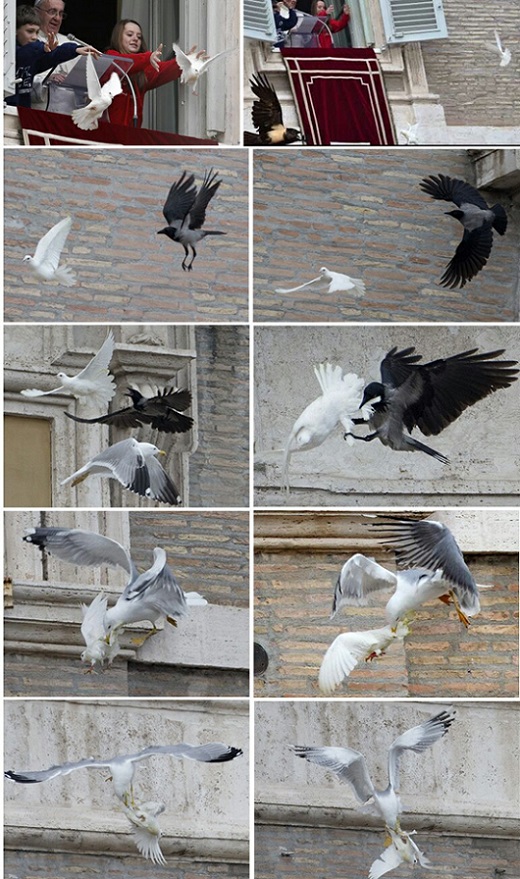bergoglio-doves-attacked-1.jpg
