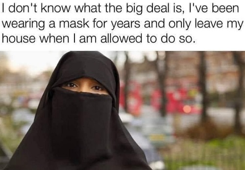 You could use a covering such as a scarf, bandanna, gator etc. Muslim-woman-about-wearing-mask